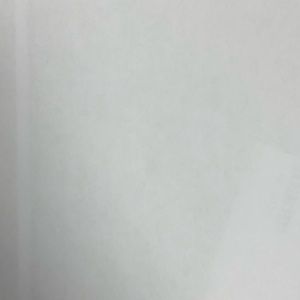 Meet your Posher, Shawn